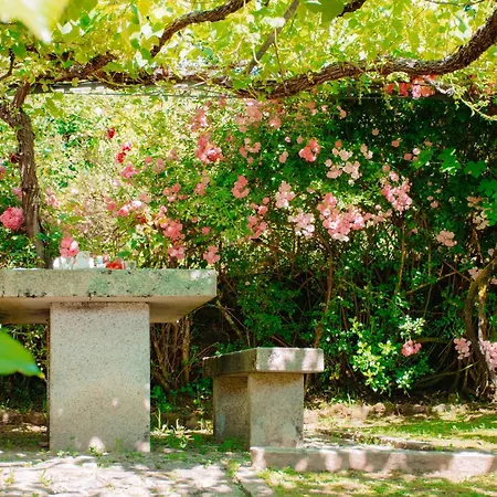 Just Like - Casa Da Raposa