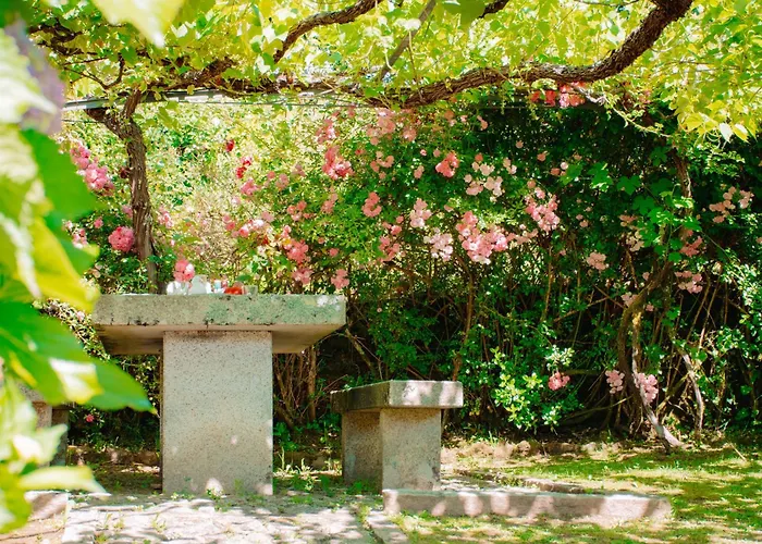 Just Like - Casa Da Raposa