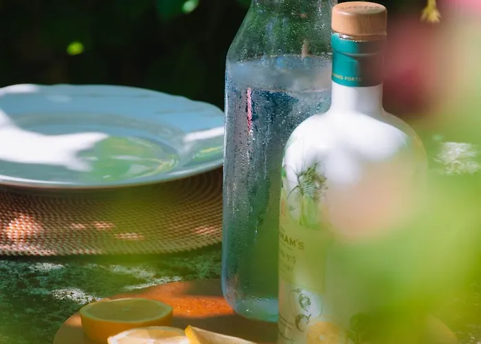 别墅 Just Like - Casa Da Raposa 卡米尼亚